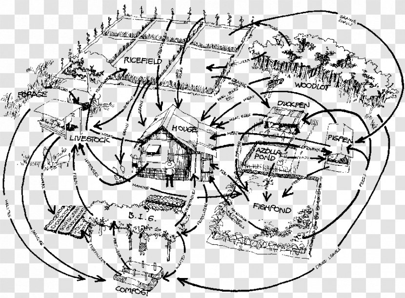 Nutrient Cycle Integrated Farming Agriculture - Tree - H5 Page Entrepreneurship Transparent PNG