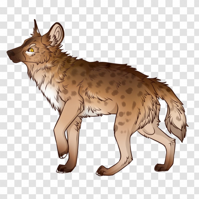 Cat Coyote Red Fox Jackal Wolf Transparent PNG