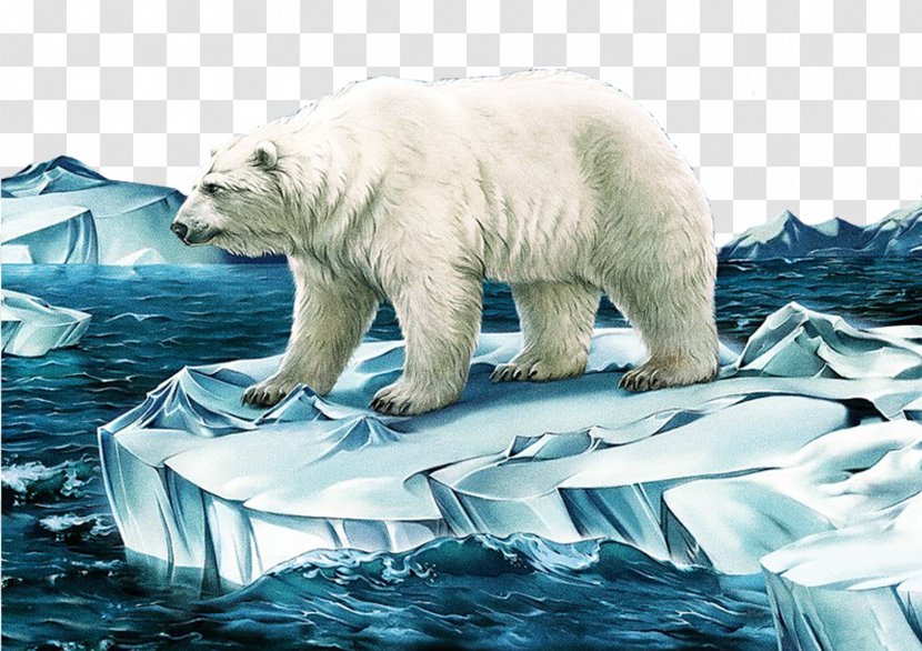 Polar Bear Illustrator Illustration - Heart Transparent PNG