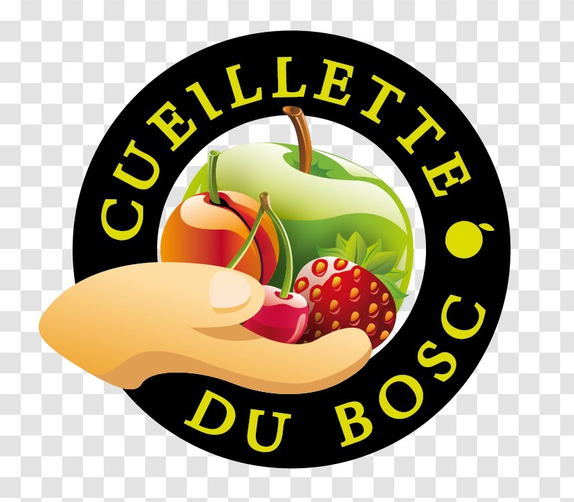 Logo Clip Art - Sales - Fruit Transparent PNG
