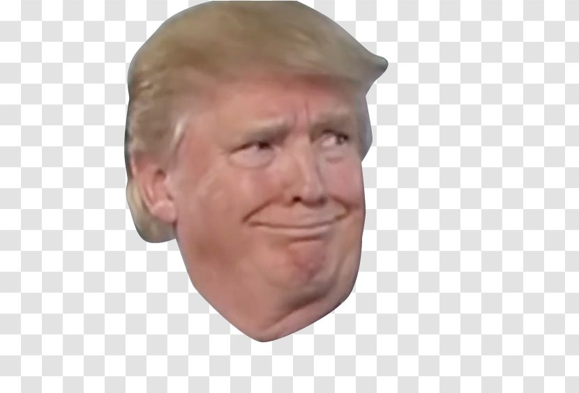 Donald Trump United States Smirk US Presidential Election 2016 Transparent PNG