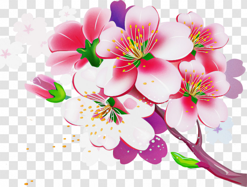 Cherry Blossom Transparent PNG