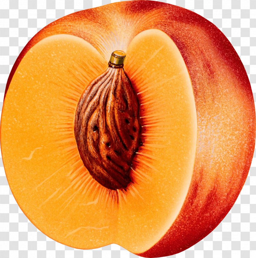 Juice Cobbler Peach Fruit - Commodity - Image Transparent PNG