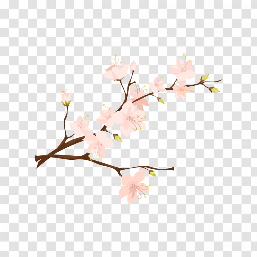 YouTube 0 Video Film Image - Blossom - Selfie Transparent PNG