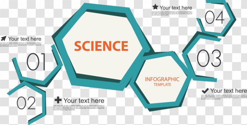 Science Infographic Biology Chemistry - Organization - Vector Biological Sciences Transparent PNG