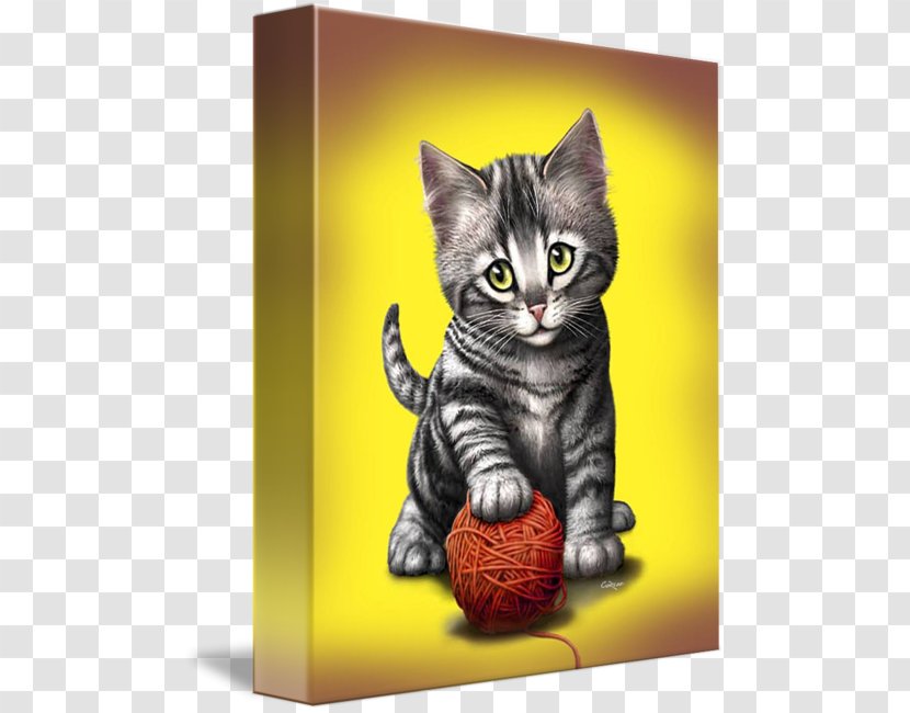 Kitten American Shorthair Tabby Cat Whiskers Domestic Short-haired - Ball Transparent PNG