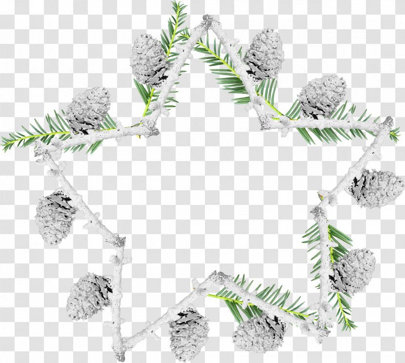 Fir Picture Frames Snow Pine Christmas Ornament - Tree - Winter Border Transparent PNG