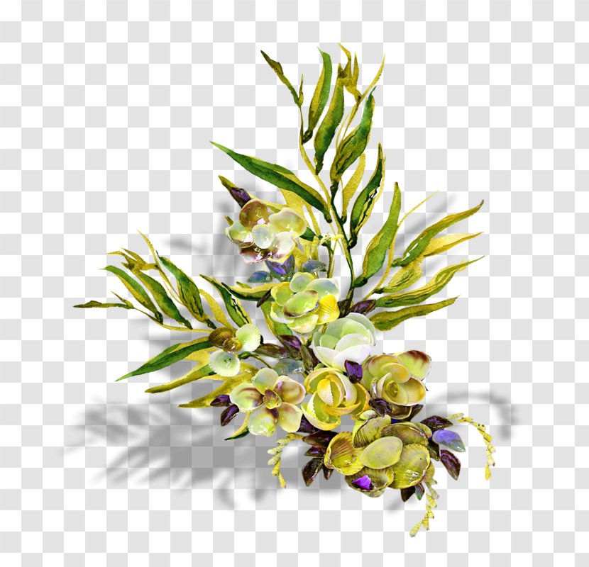 Floral Design Cut Flowers Plant Stem Twig Macrocystis Pyrifera Transparent PNG