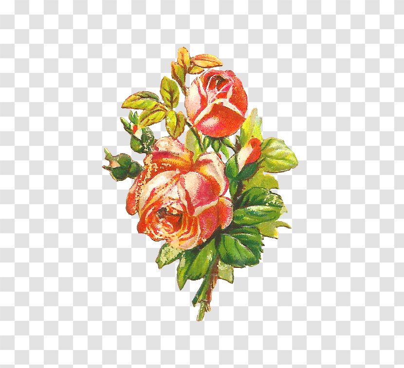 Shabby Chic Flower Rose Clip Art - Garden Roses Transparent PNG