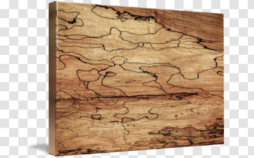 Sugar Maple Wood Grain Spalting Ahornholz - Rectangle - To Background Transparent PNG