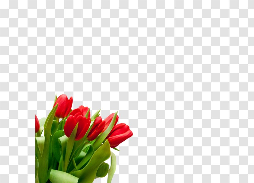 Flower Bouquet Tulip Desktop Wallpaper Cut Flowers - Petal Transparent PNG