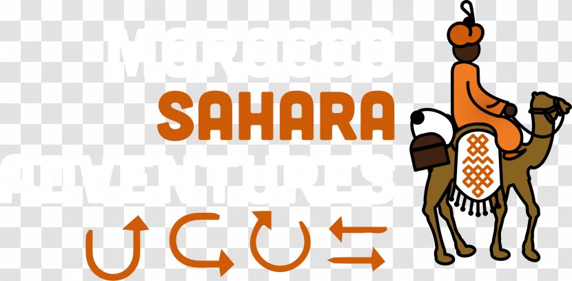 Sahara Erg Chebbi Clip Art - Vertebrate - Camel Transparent PNG