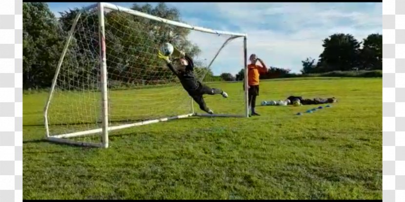 Playground Dog Agility Land Lot Swing - Meadow - Goalkeeper Gloves Transparent PNG