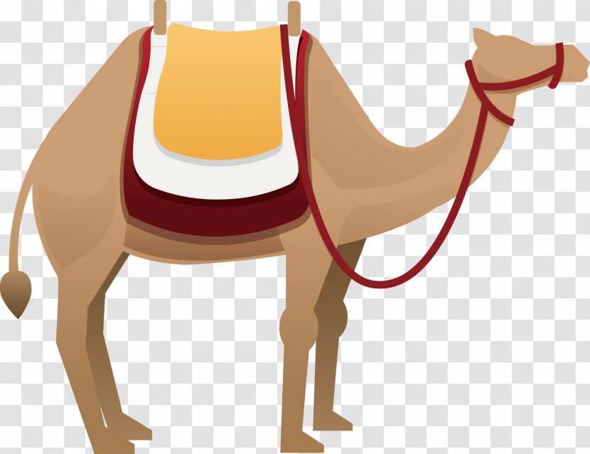 Camel Euclidean Vector Clip Art - Like Mammal - Decoration Transparent PNG