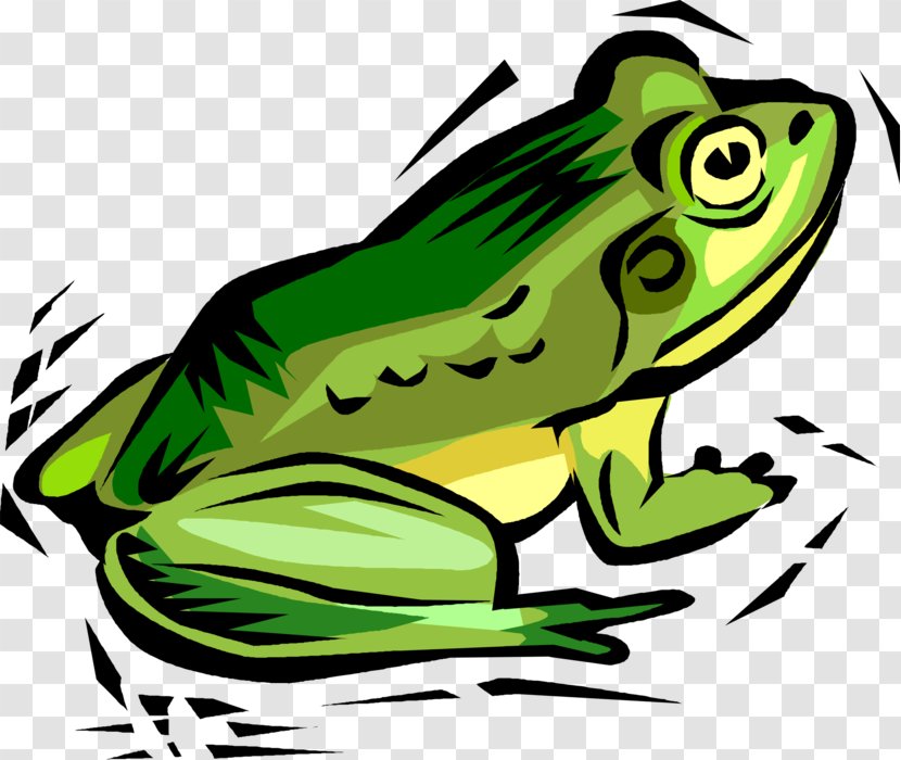 Clip Art Toad Frog Vector Graphics Illustration - Royaltyfree Transparent PNG
