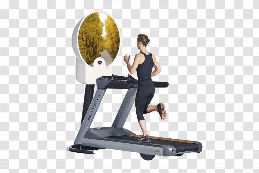 Elliptical Trainers Treadmill Dracula Simia Monkey Weightlifting Machine - Balance - 479th Flying Training Group Transparent PNG