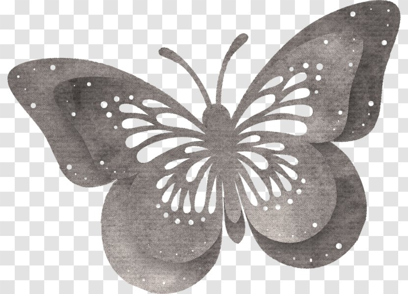 Butterfly Papillon Dog - Invertebrate - Beautiful Transparent PNG