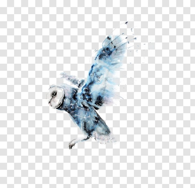 Owl Watercolor Painting Harry Potter Art Drawing - Hedwig Transparent PNG