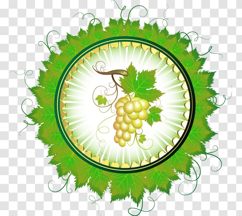 Common Grape Vine Juice Drawing - Green Grapes Wreath Transparent PNG