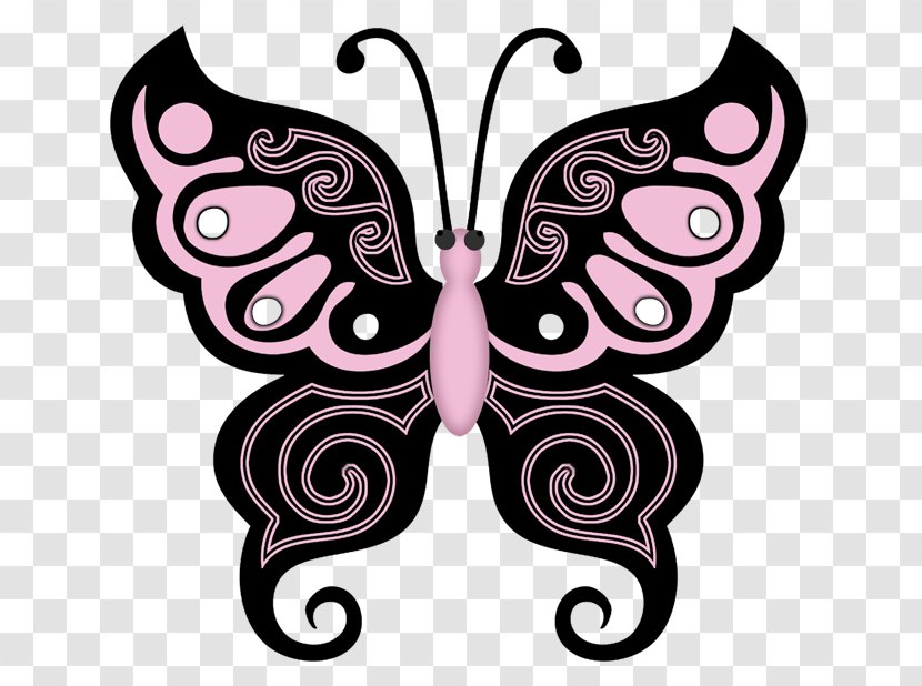 Butterfly Drawing Clip Art - Brush Footed Transparent PNG