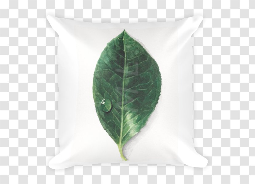 Leaf - Plant - Green Pillow Transparent PNG