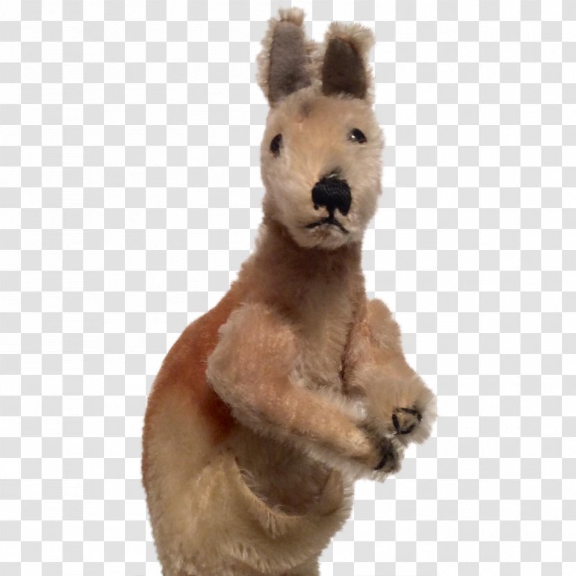 Macropodidae Horse Stuffed Animals & Cuddly Toys Marsupial Kangaroo Transparent PNG