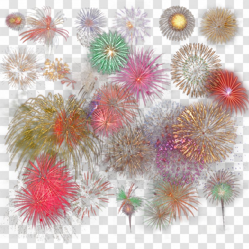 Fireworks New Year - Petal - All Kinds Of Transparent PNG