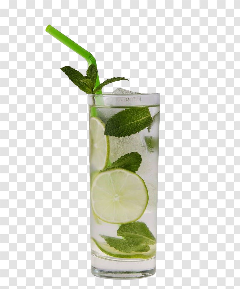 Mojito Cocktail Rickey Vodka Tonic Rebujito - Lime Juice - Mint Drink Transparent PNG