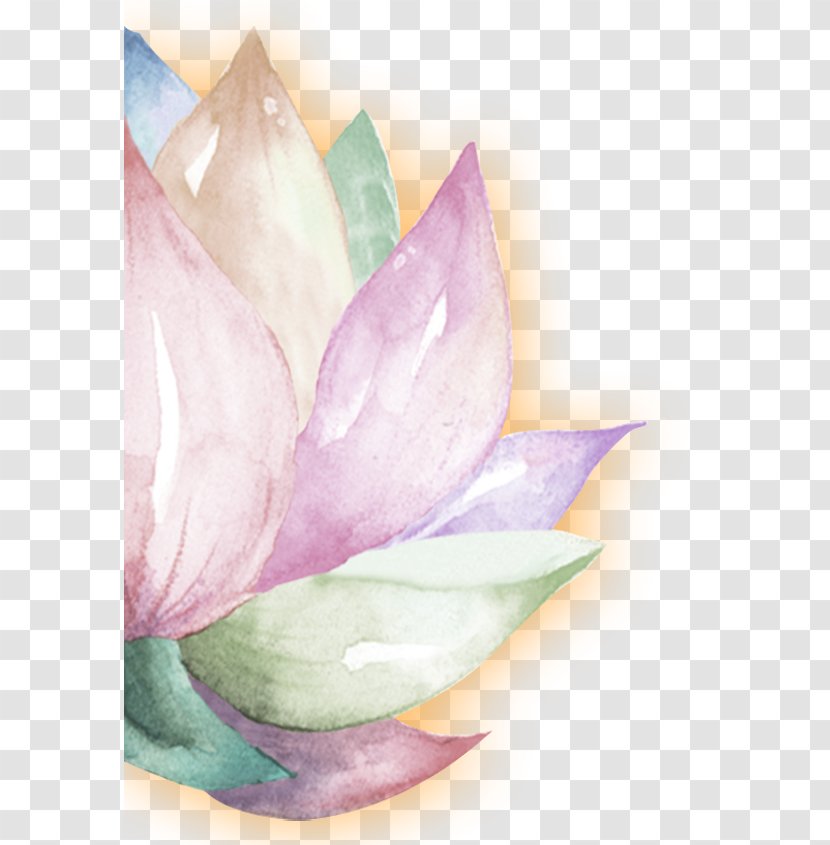 Watercolor Painting - Petal - Lotus Transparent PNG