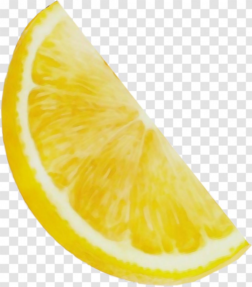 Watercolor Plant - Paint - Meyer Lemon Pomelo Transparent PNG