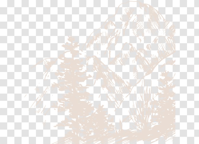 Illustration Sketch Pattern Line Branching - Tree - Drawing Transparent PNG