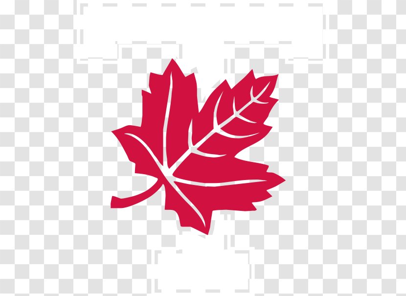 University Of Toronto Varsity Stadium Blues Men's Soccer Western Ontario Athletics - Woody Plant - Logo Transparent PNG