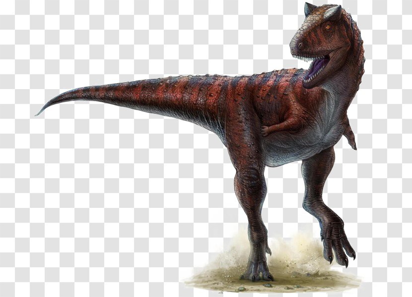 Carnotaurus Ceratosaurus Triceratops Horned Dinosaurs - Tyrannosaurus - Dinosaur Transparent PNG