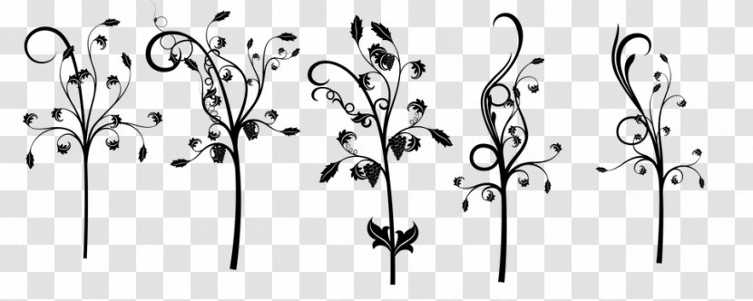 Art Deco Photography Line - Black And White - Tree Transparent PNG