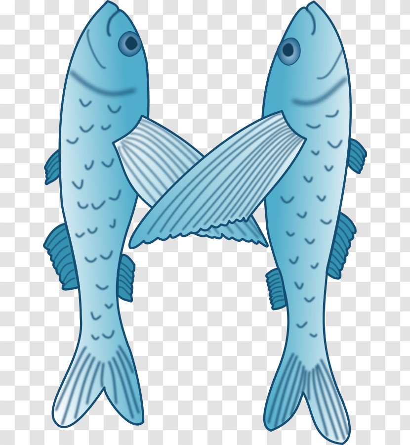 Download Clip Art - M - Teal Fish Cliparts Transparent PNG