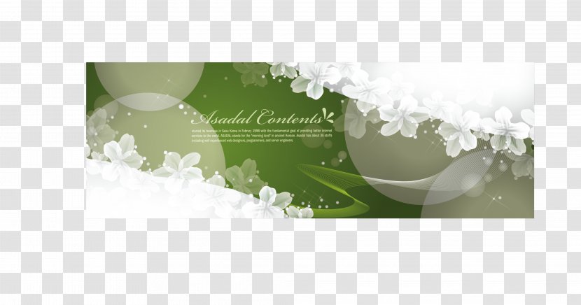 Dream Lace Panels - Search Engine - Water Transparent PNG