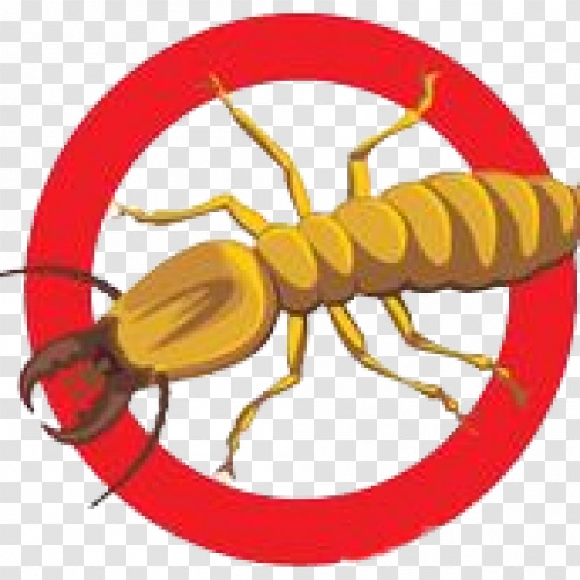 Cockroach Pest Control Clip Art - Exterminator Transparent PNG