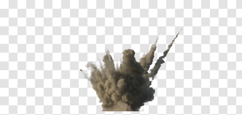 Explosion Nuclear Weapon - Branch Transparent PNG