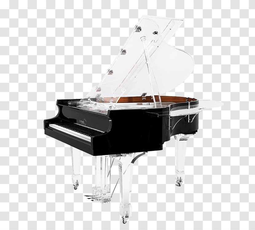 Digital Piano Player Grand Euro Pianos Naples - Key Transparent PNG