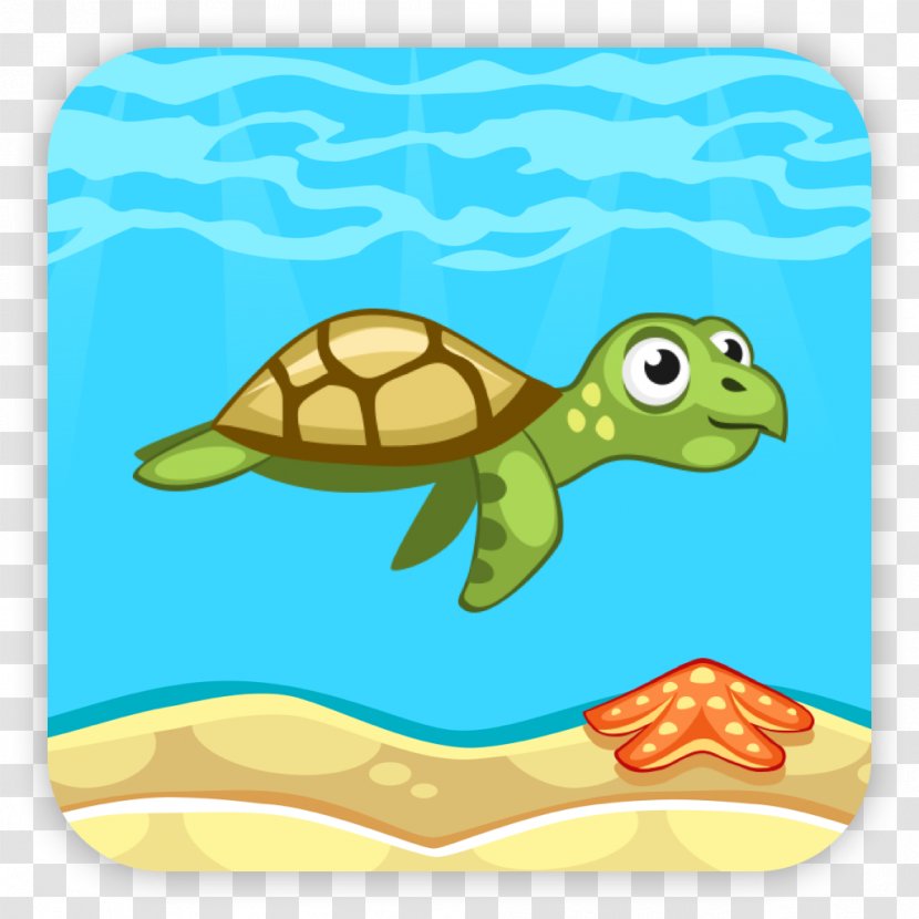 Sea Turtle Background - Olive Ridley Box Transparent PNG