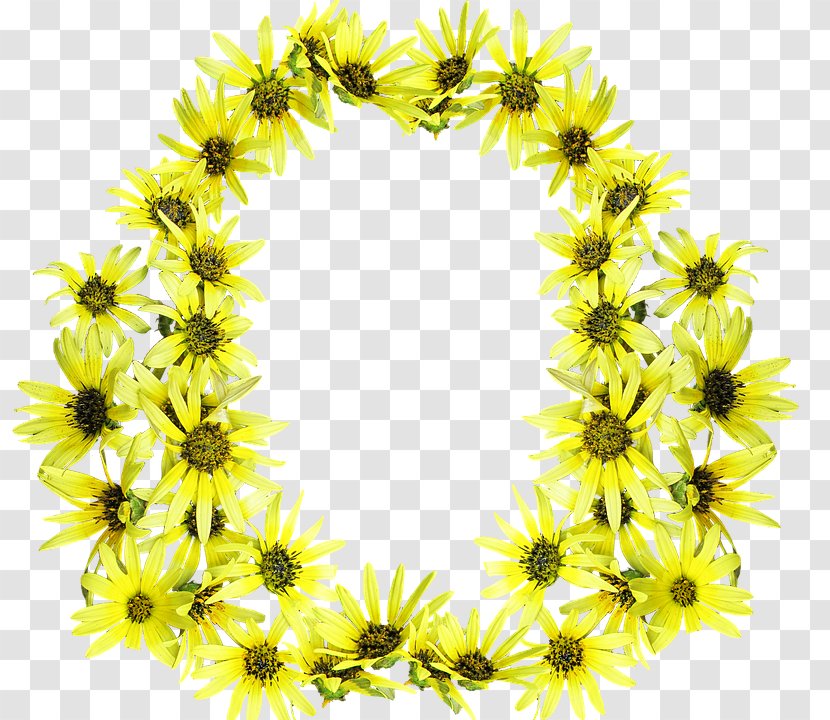 Flower - Lei - Daisies Frame Transparent PNG
