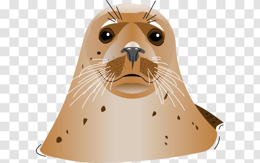 Sea Lion Clip Art - Seal Transparent PNG