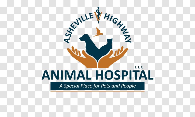 Logo Exotic Pet Veterinarian Clinique Vétérinaire - Animal - Dog Transparent PNG