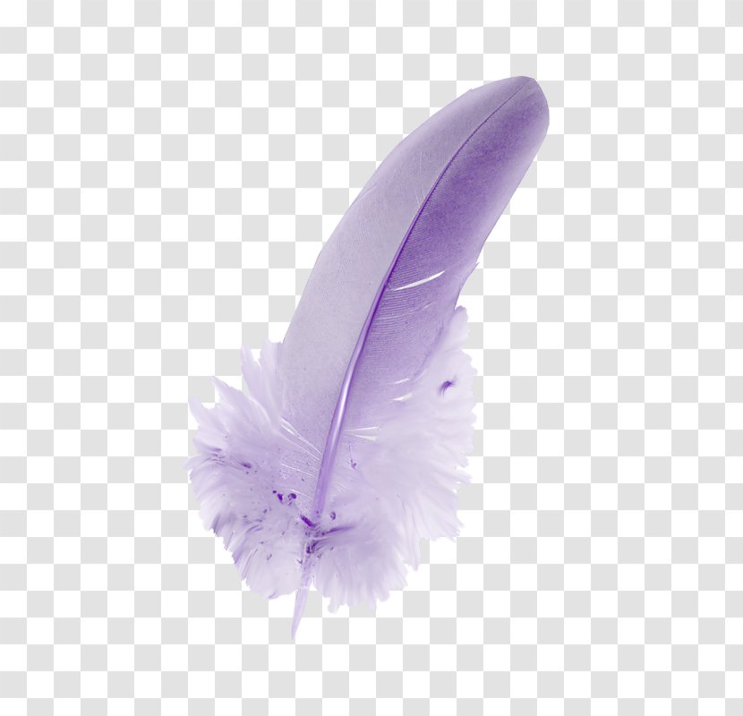 Feather - Violet Transparent PNG