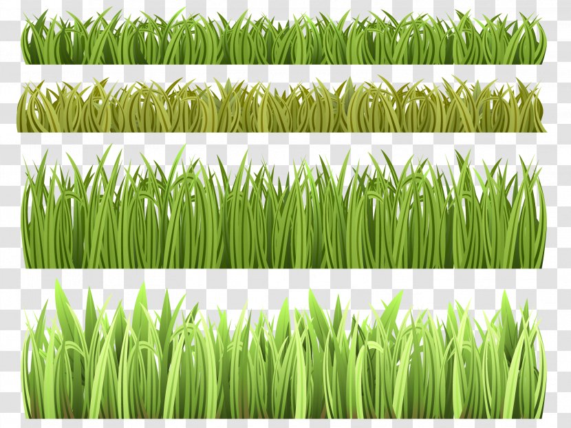 Royalty-free Clip Art - Meadow - Grass Transparent PNG
