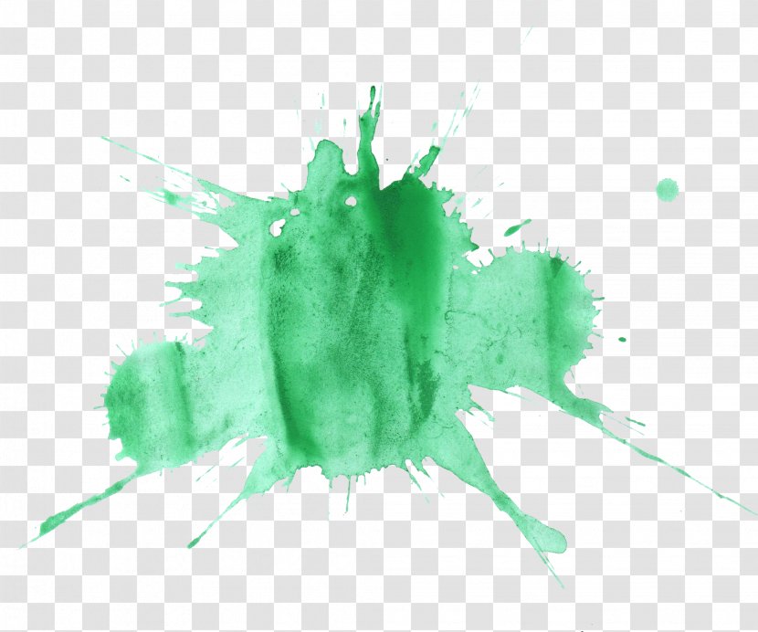 Watercolor Painting - Leaf - Splash Transparent PNG