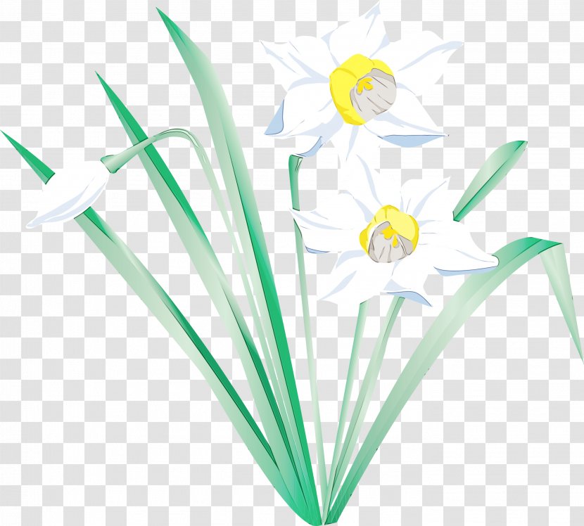 Floral Flower Background - Plant Stem - Grass Transparent PNG
