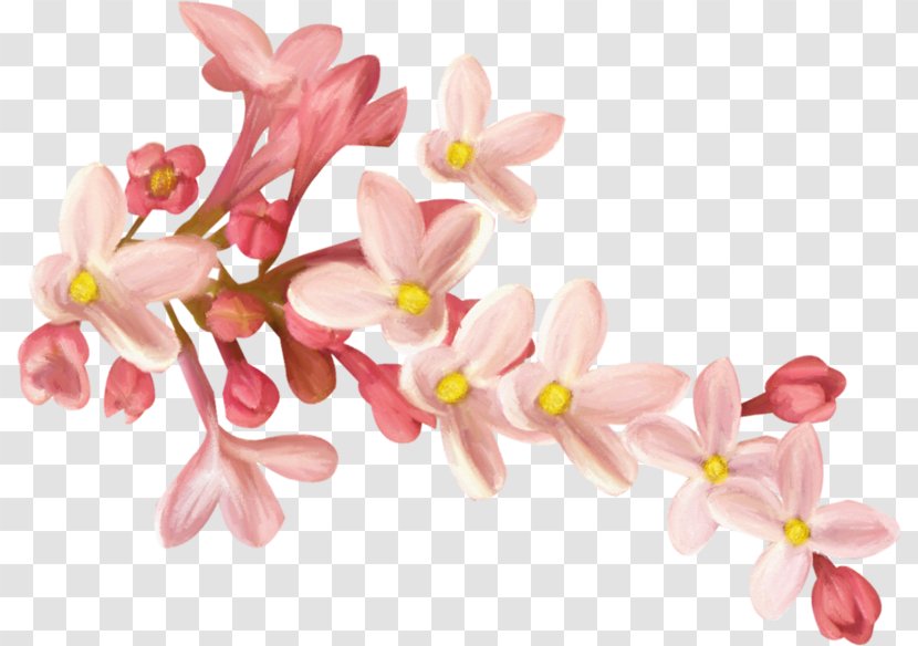 Clip Art - Flower - Hand-painted Flowers Pink Peach Branches Transparent PNG