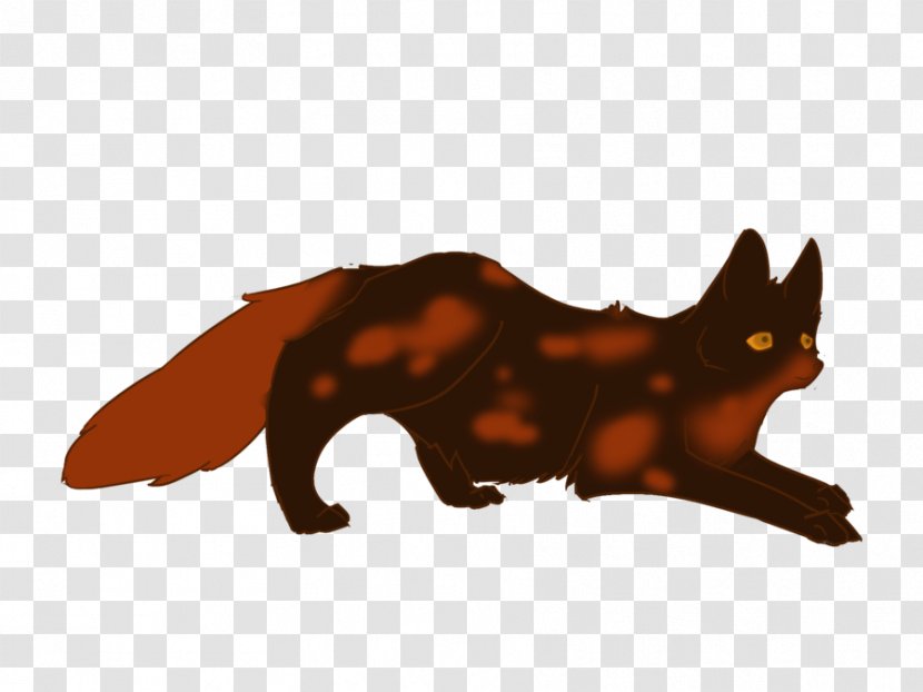 Whiskers Red Fox Cat Snout - Carnivoran - Tail Transparent PNG