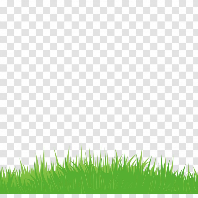 Euclidean Vector Icon - Lawn - Green Grass Decoration Transparent PNG